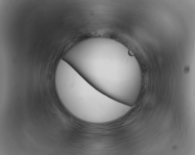X0000097950699200803241019