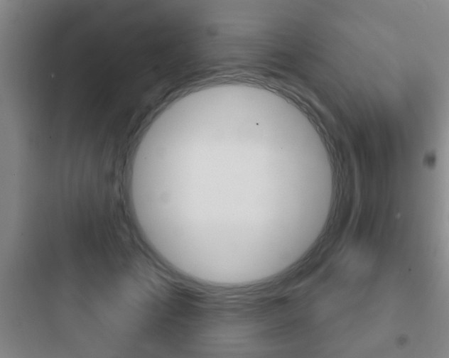 X0000097950701200803241019