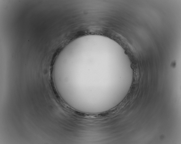 X0000097950703200803241019