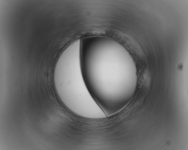 X0000097950704200803241019
