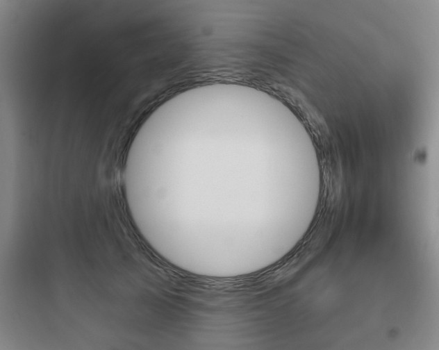X0000097950705200803241019