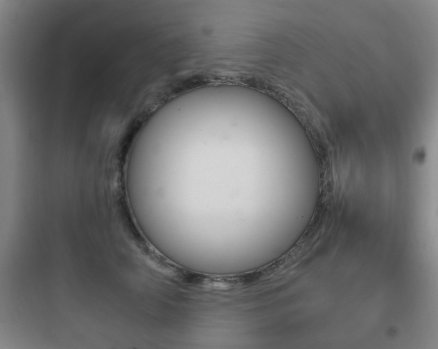 X0000097950706200803241019
