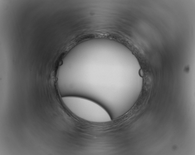 X0000097950707200803241019