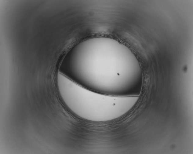 X0000097950708200803241019