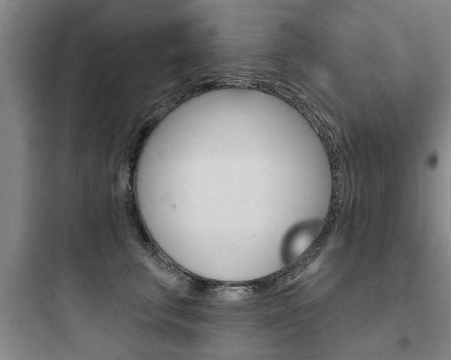 X0000097950711200803241019