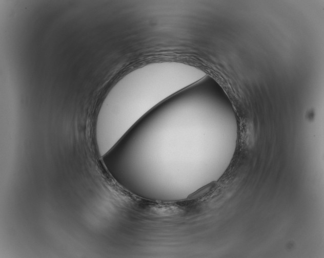 X0000097950712200803241019