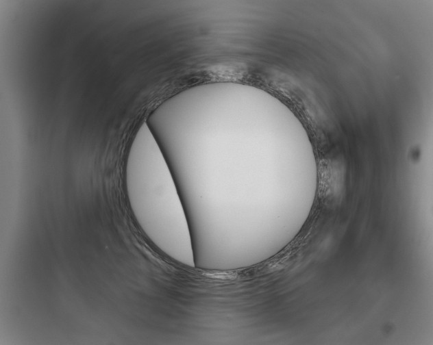 X0000097950713200803241019