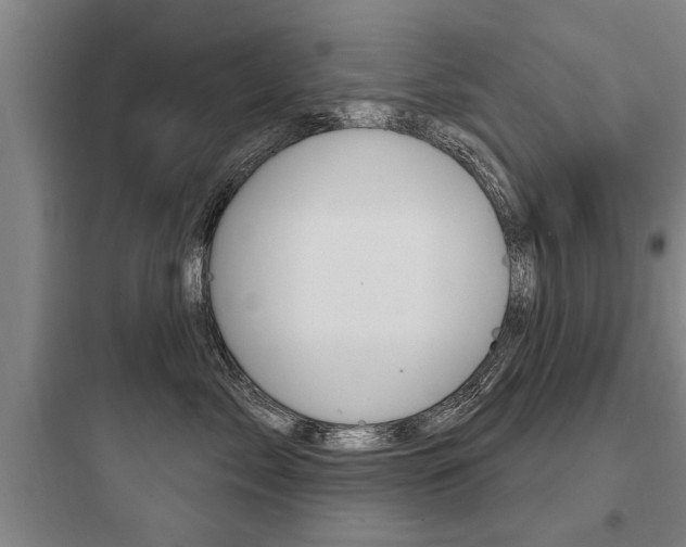 X0000097950717200803241019