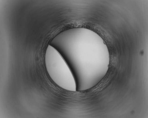 X0000097950719200803241019
