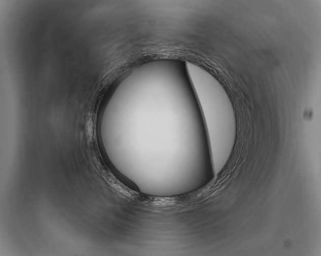 X0000097950720200803241019