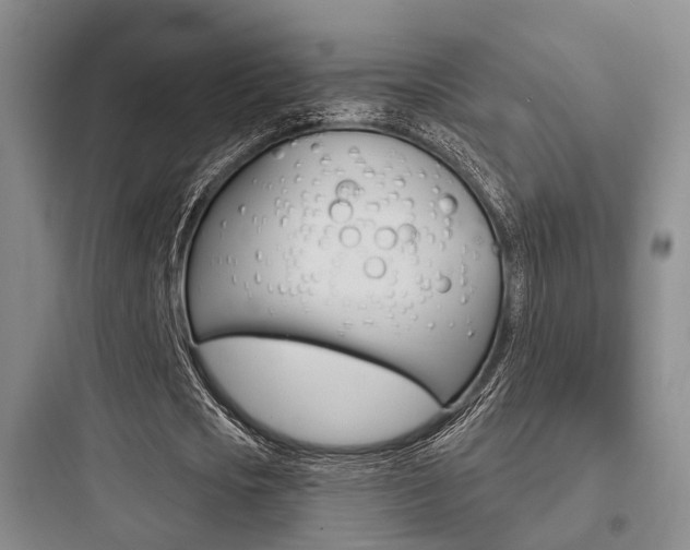 X0000097950721200803241018