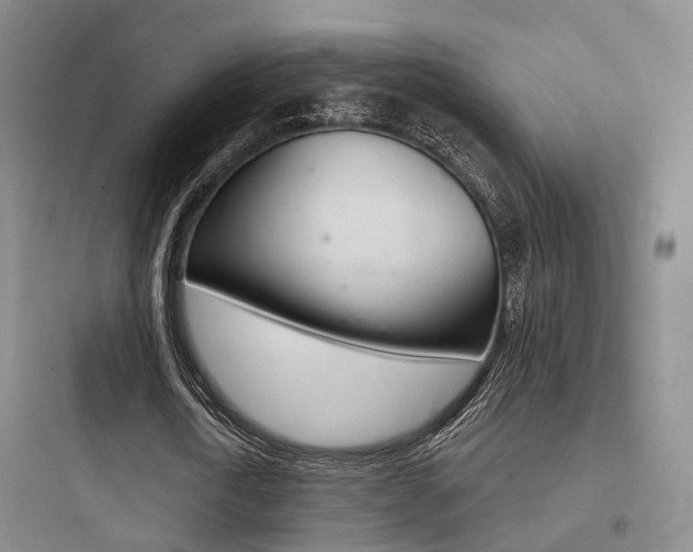 X0000097950722200803241018