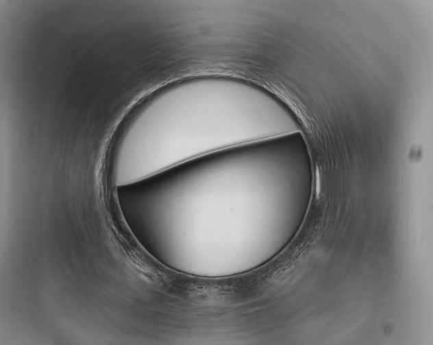 X0000097950723200803241018