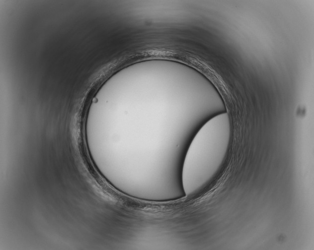 X0000097950725200803241018