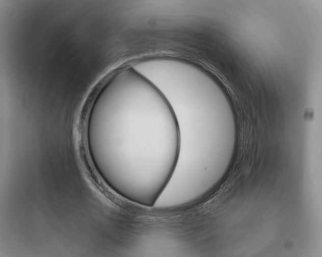X0000097950726200803241018