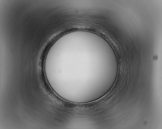 X0000097950727200803241018