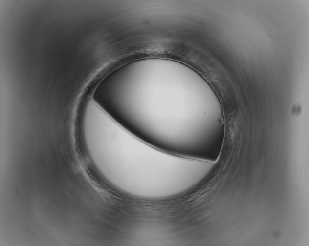 X0000097950728200803241018