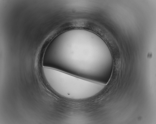 X0000097950731200803241018