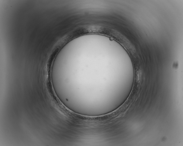 X0000097950733200803241018