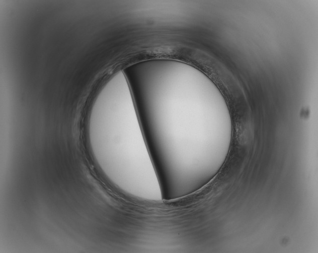 X0000097950735200803241018