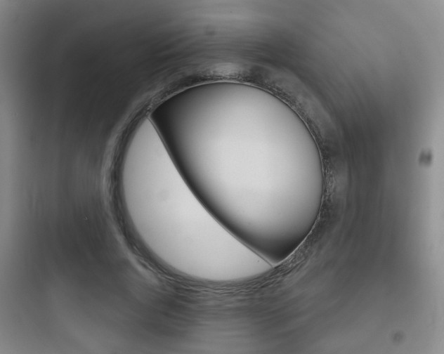 X0000097950736200803241018