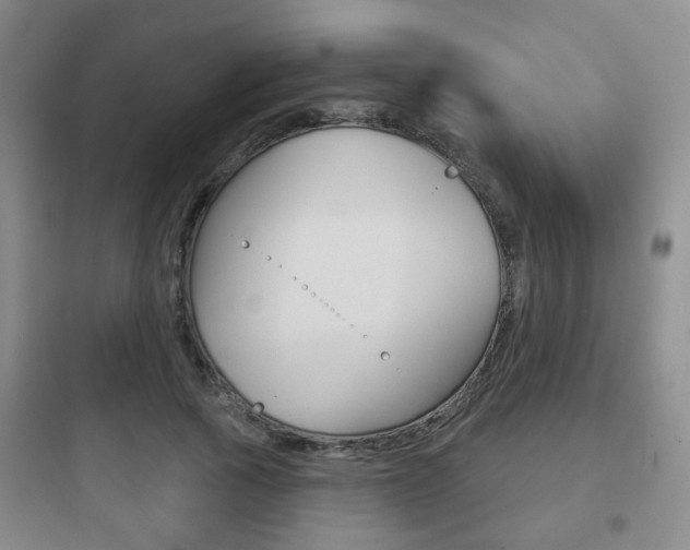 X0000097950737200803241018