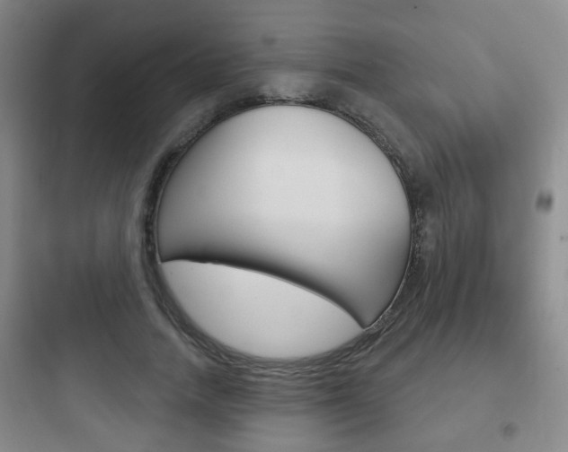 X0000097950738200803241018
