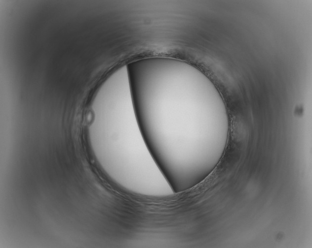 X0000097950740200803241018