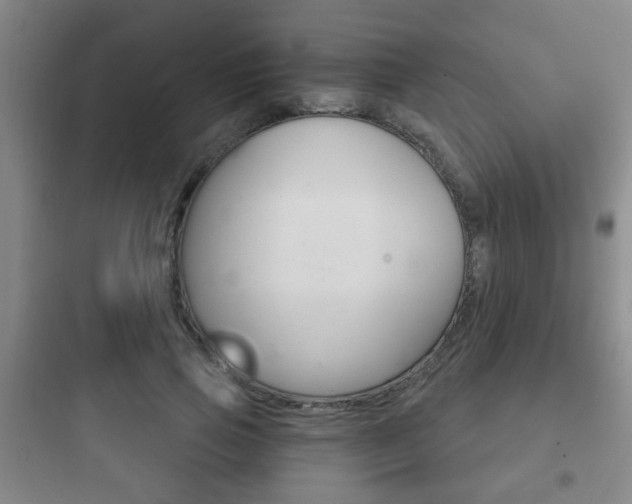 X0000097950741200803241018