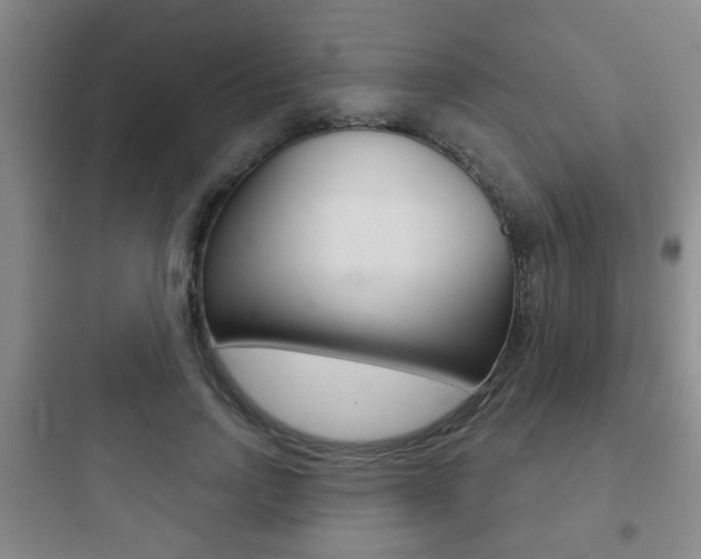X0000097950742200803241018