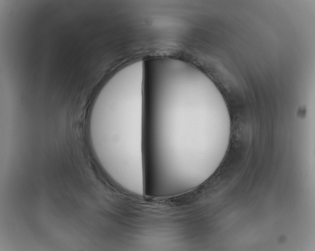 X0000097950743200803241018