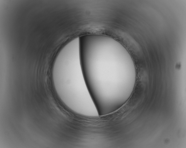 X0000097950744200803241018