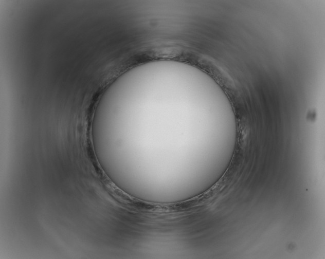 X0000097950745200803241018