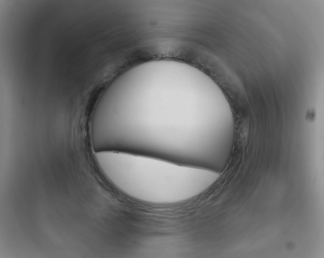 X0000097950746200803241018