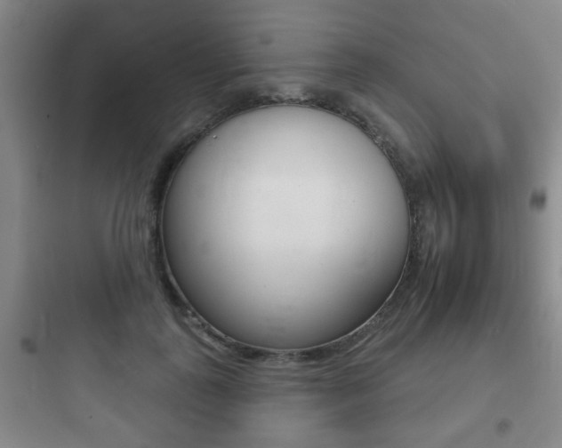 X0000097950747200803241018