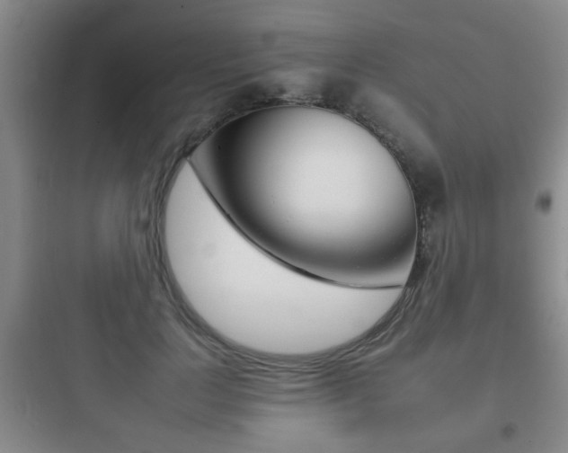 X0000097950748200803241018