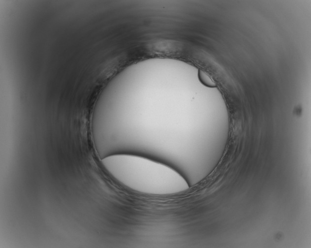 X0000097950749200803241018