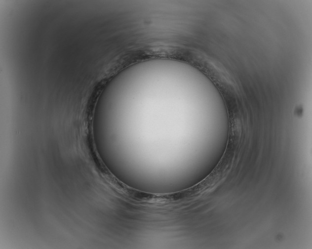X0000097950751200803241018