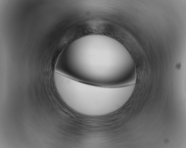 X0000097950752200803241018