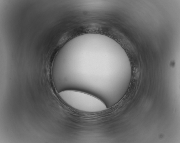 X0000097950753200803241018