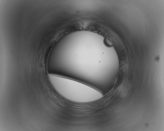 X0000097950754200803241018