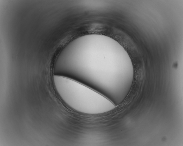X0000097950755200803241018