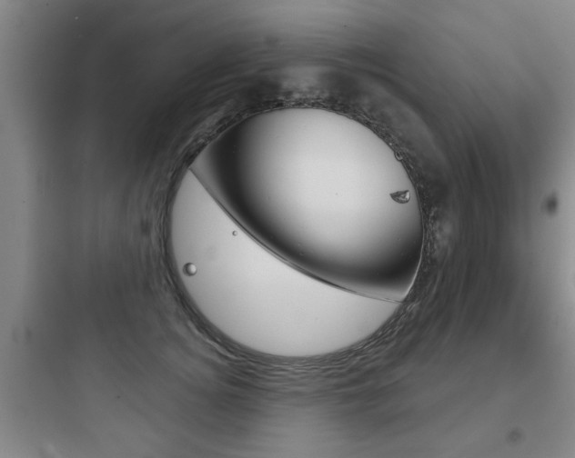 X0000097950756200803241018