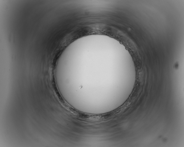 X0000097950757200803241018