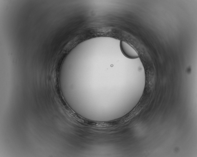X0000097950758200803241019