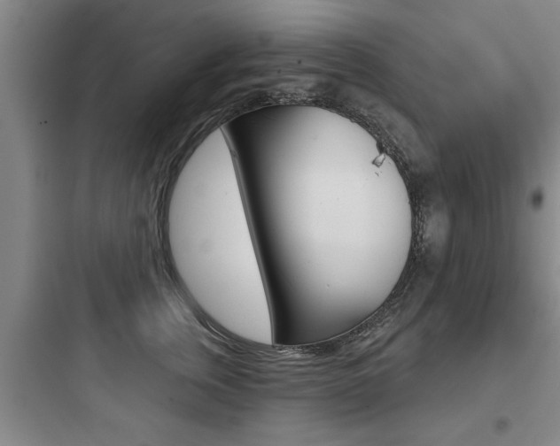 X0000097950759200803241019