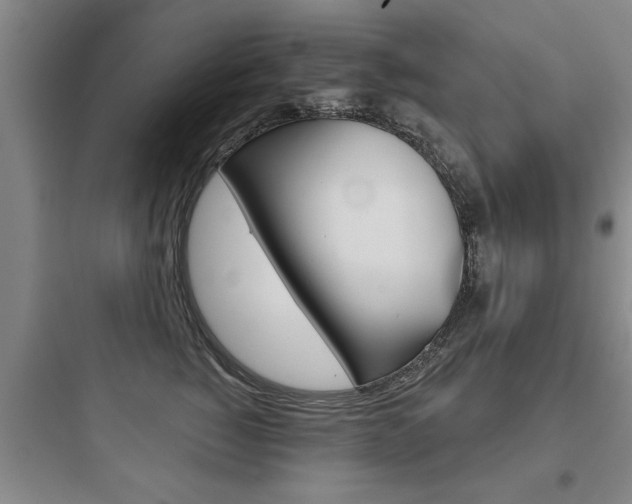 X0000097950760200803241019