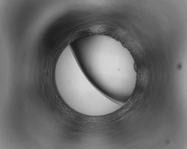 X0000097950762200803241019