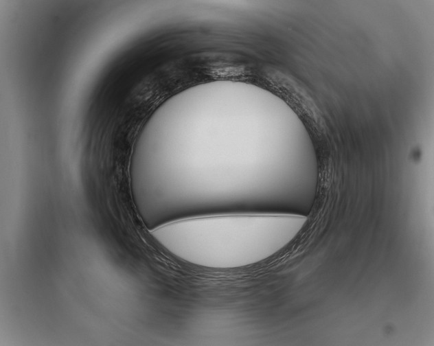X0000097950763200803241019
