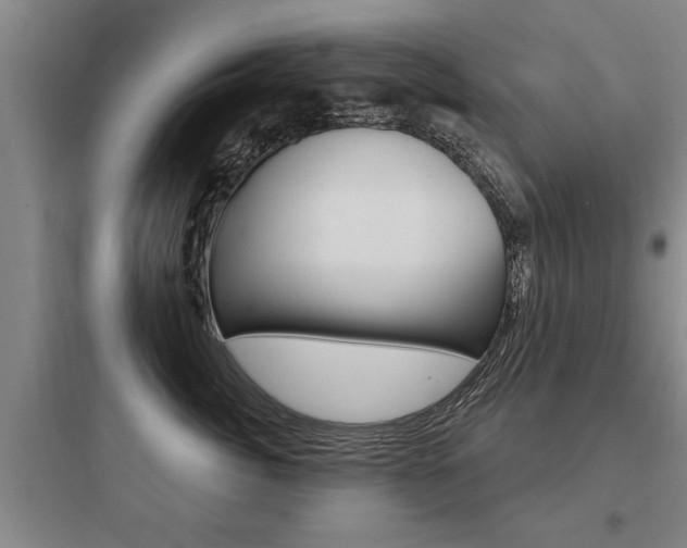 X0000097950764200803241019